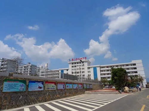 重磅 同安這4所學校同時被國家點名表揚 看看有你的母校嗎