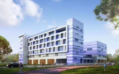 上海五區傳喜訊 新復旦系 超牛國際化 你家門口有嗎