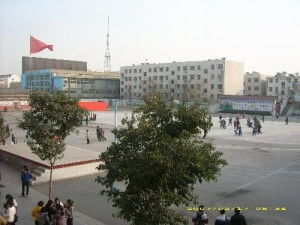 金鄉縣實驗中學