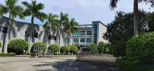 好消息 新興還在找工作的朋友注意啦 這里有職位等你來 收入不減待遇不低