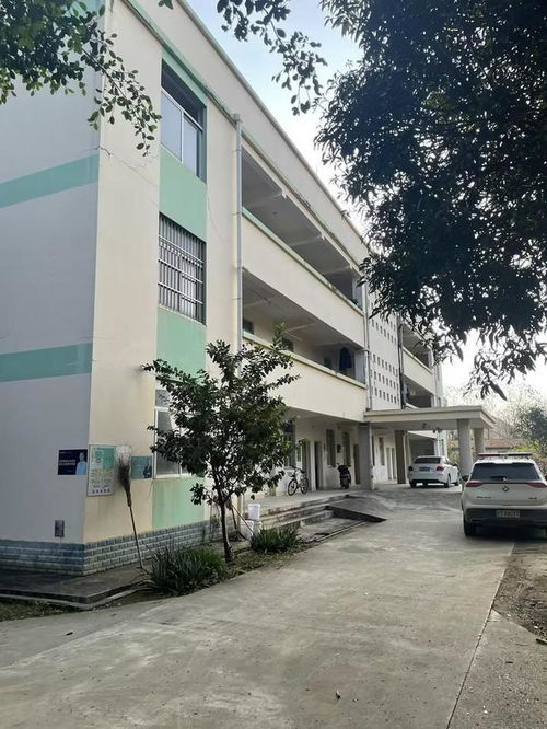 崇左扶綏縣一個工廠拍賣,被大企業以起拍價1461萬拿下