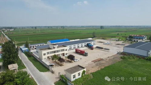 小鎮鞋匠闖世界 襄城鞋業“硬核”出海記